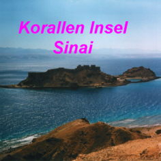 Koralleninsel_small.jpg (13305 bytes)